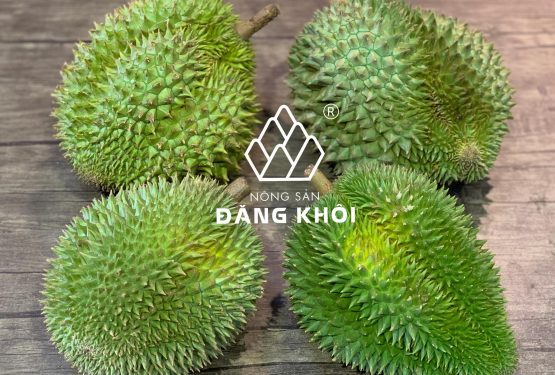 các loại sầu riêng tại việt nam